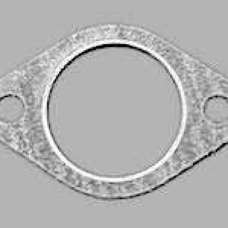 240-1104368, прокладка штуцера трубки вис.давл.дв.а/м КРАЗ,а/м МАЗ